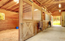 Deganwy stable construction leads